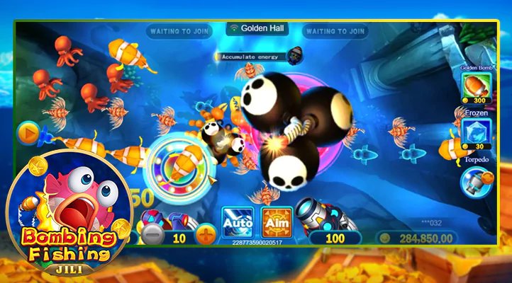 xin99